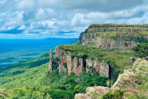 El Valle de Tucabaca, ahora bajo el estándar internacional FSC, consolidando su estatus como referente de manejo forestal responsable en el Chiquitano.