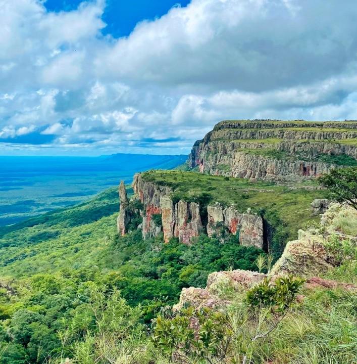 El Valle de Tucabaca, ahora bajo el estándar internacional FSC, consolidando su estatus como referente de manejo forestal responsable en el Chiquitano.