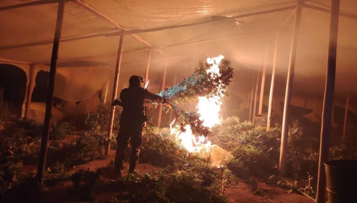Efectivos de la FELCN proceden a la incineración total de las 12.6 toneladas de marihuana halladas en estado natural.
