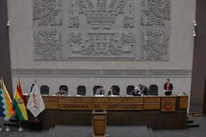Sesión en la Cámara de Diputados