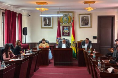 Pleno del Concejo