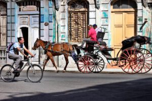 Personas en La Habana