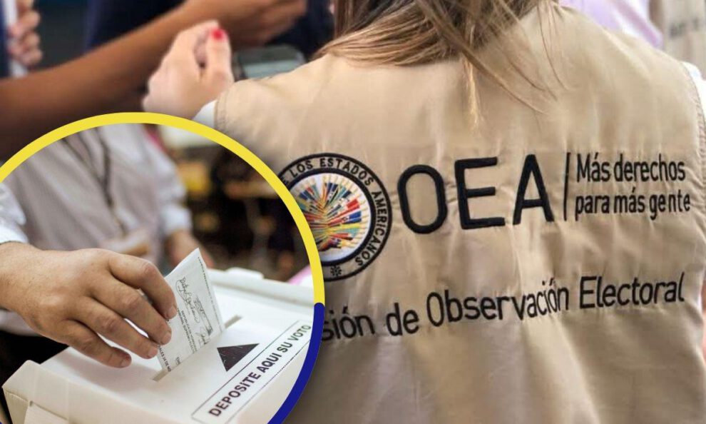 persona con el chaleco de la OEA