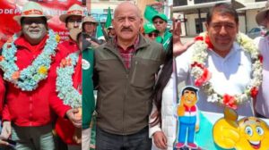 elecciones subnacionales