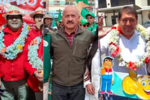 elecciones subnacionales