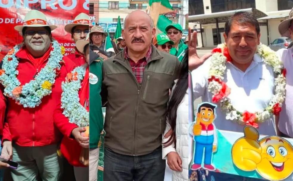 elecciones subnacionales