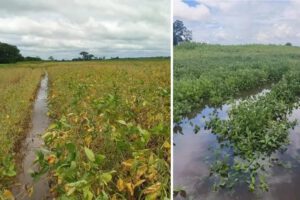 Las imágenes compartidas por Anapo reflejan la afectación por lluvias