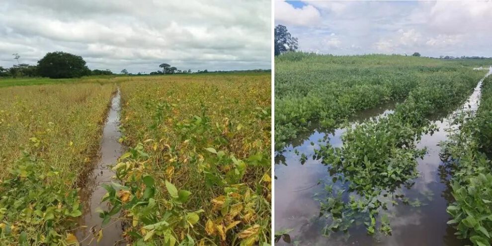 Las imágenes compartidas por Anapo reflejan la afectación por lluvias