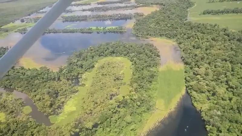 Afectación de la producción soya por lluvias