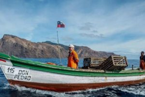 gobierno de José Antonio Kast