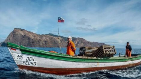 gobierno de José Antonio Kast