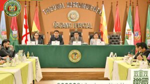 La primera audiencia sobre la demanda de protección del jaguar, en abril de 2025