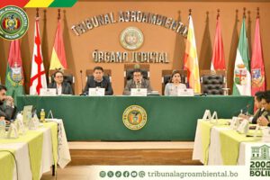 La primera audiencia sobre la demanda de protección del jaguar, en abril de 2025