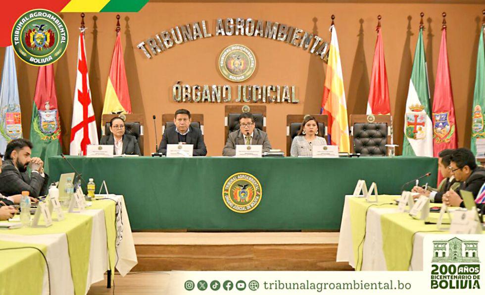 La primera audiencia sobre la demanda de protección del jaguar, en abril de 2025