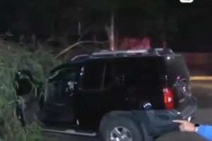 un arbol que aplasto un auto