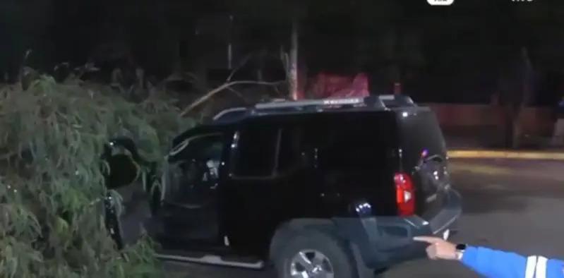 un arbol que aplasto un auto