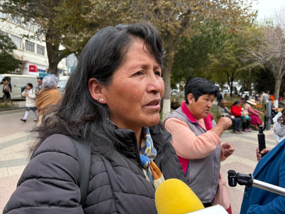 Directora del centro, Zulma Chambi