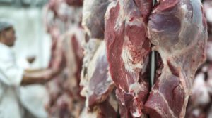Bolivia abrió su mercado a los envíos de carne bovina y porcina paraguaya