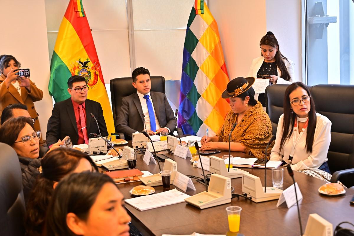 La Comisión de Justicia Plural de la Cámara de Diputados