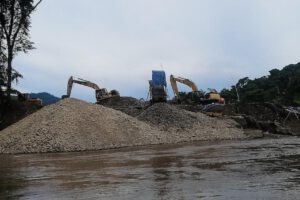 Máquinas escarban la tierra en las orillas de los ríos para extraer oro.