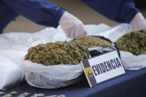 La marihuana secuestrada