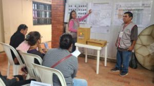 elecciones subncionales