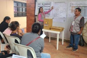 elecciones subncionales