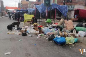imagen de la basura en el mercado Roberto Young