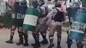 guardias con escudos