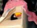 tucan en caja tras su rescate