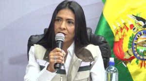 Norka Corrales, directora general de Regulación de Comercialización y Redes de Gas Natural de la ANH