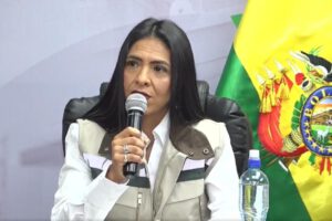 Norka Corrales, directora general de Regulación de Comercialización y Redes de Gas Natural de la ANH