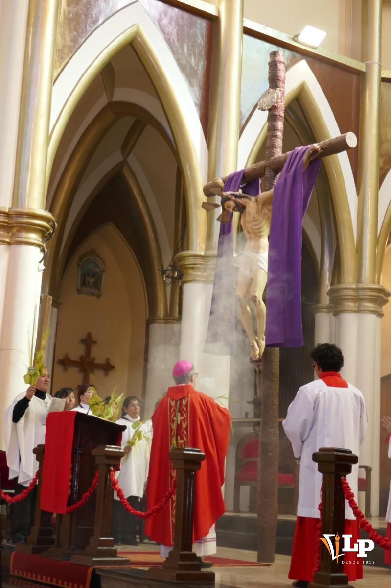celebración de Domingo de Ramos