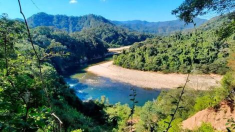 La Reserva Nacional de Flora y Fauna de Tariquia (Rnfft).