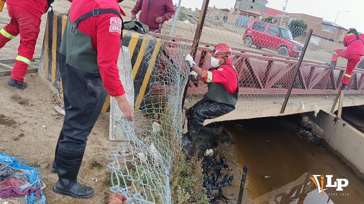 bomberos rescatando perros