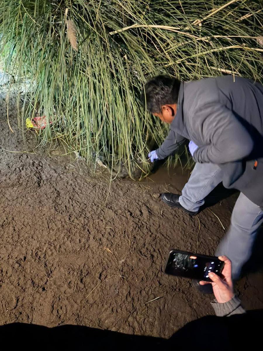 Lugar donde se encontró a la perrita