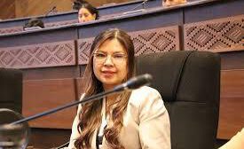 La diputada Diana Romero en una sesión