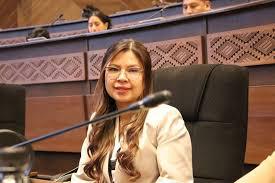 La diputada Diana Romero en una sesión