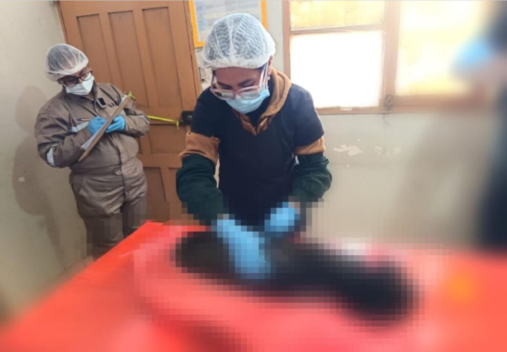 Imagen de la realización de la necropsia