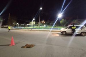 Imagen sobre los controles a conductores