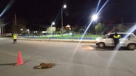 Imagen sobre los controles a conductores