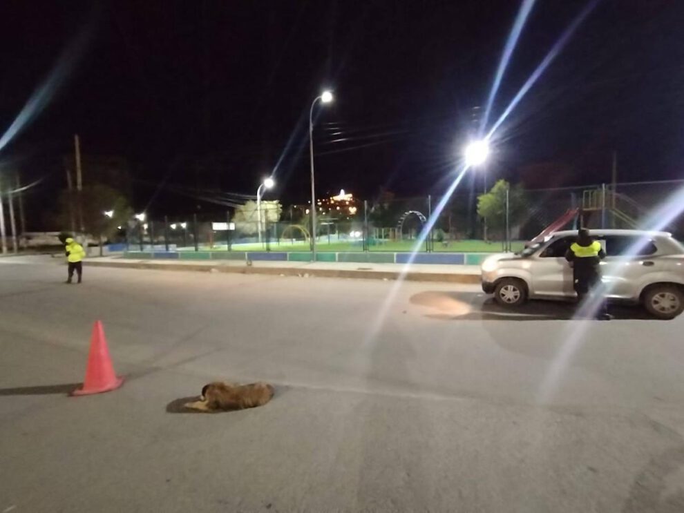 Imagen sobre los controles a conductores