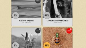 Ronda final del Desafío de Conservación Uproar