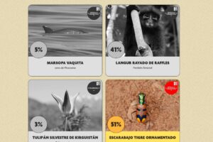 Ronda final del Desafío de Conservación Uproar