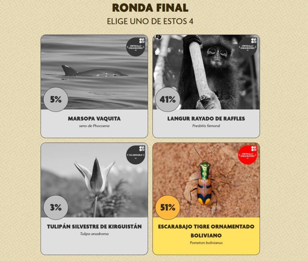 Ronda final del Desafío de Conservación Uproar