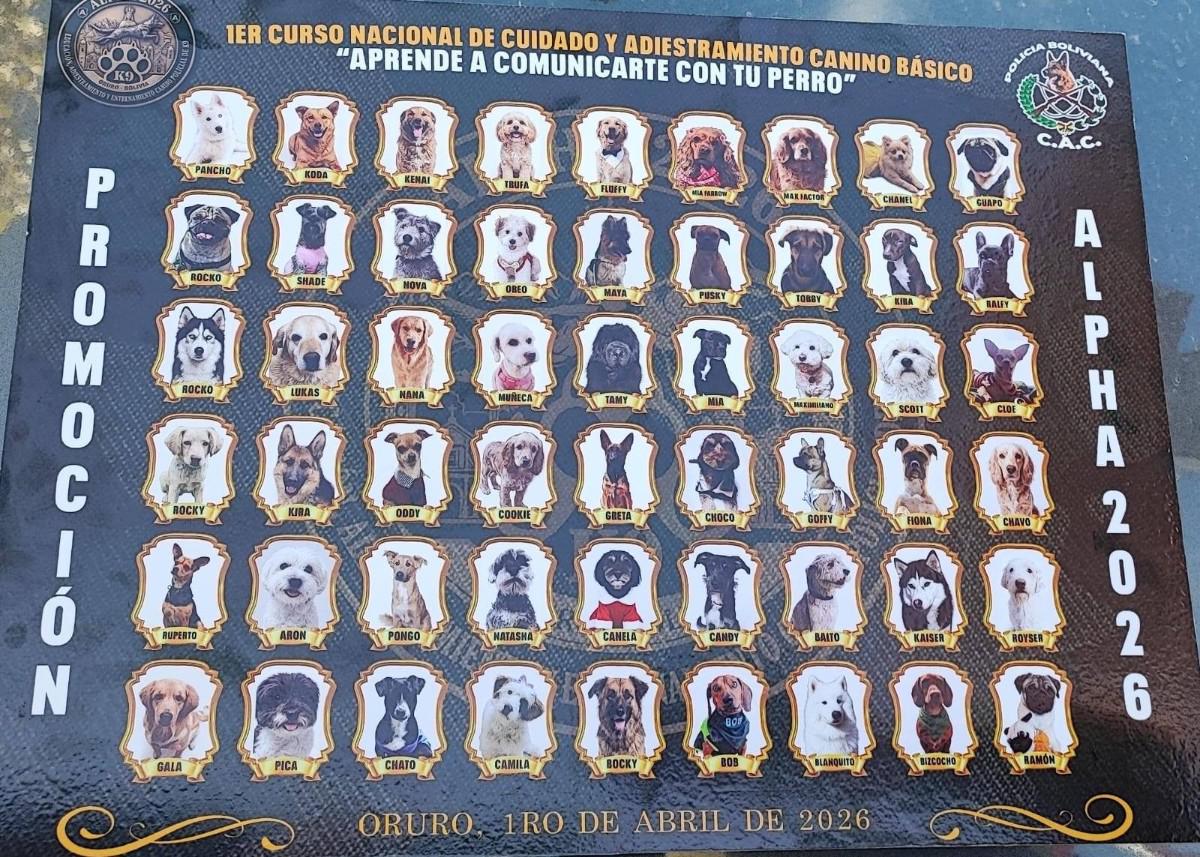 Los 54 peluditos de la promoción 