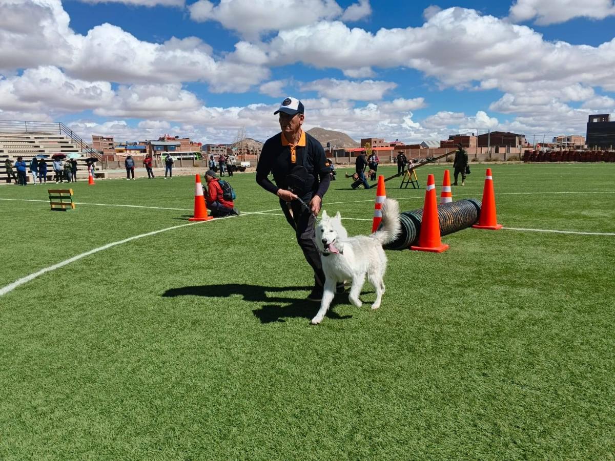 Demostración práctica de cómo el lenguaje corporal fortalece la confianza entre el dueño y su mascota