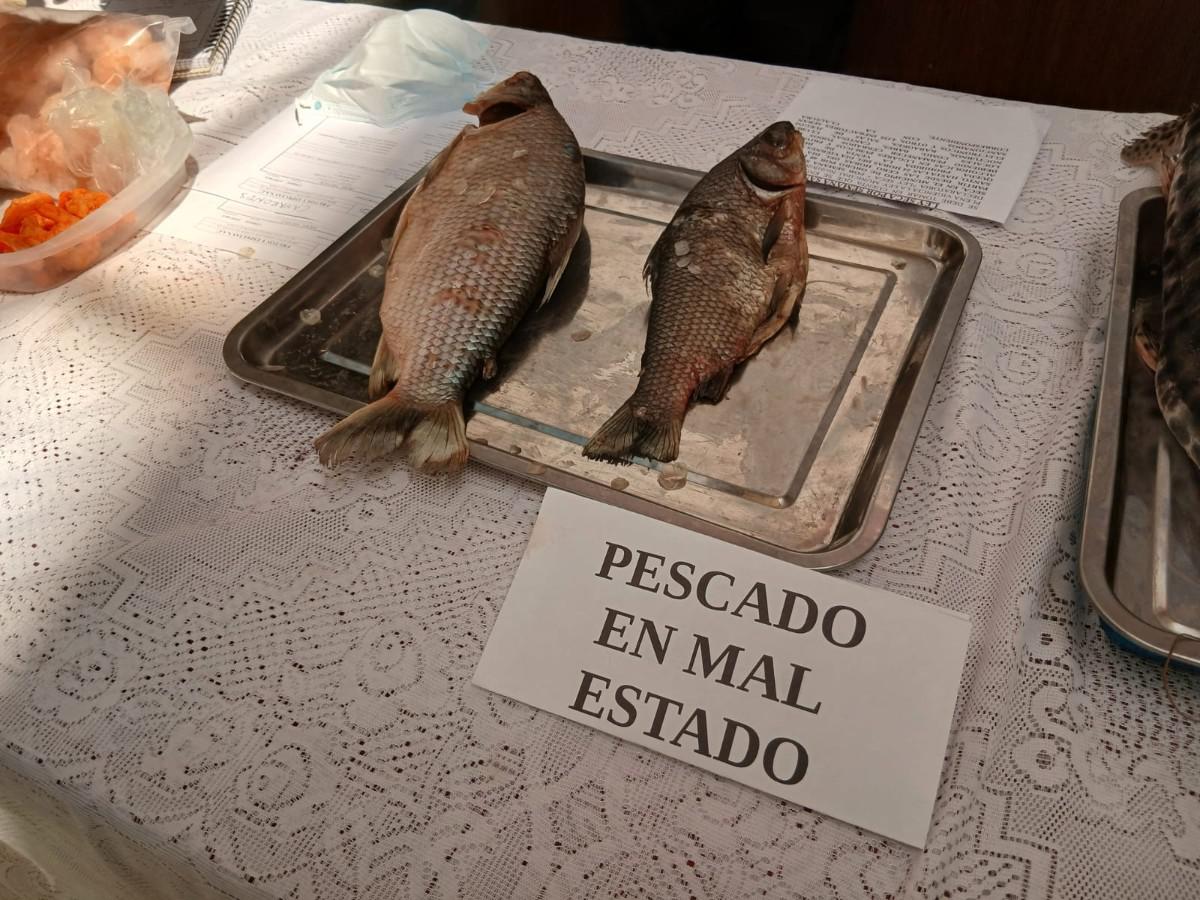 Pescado