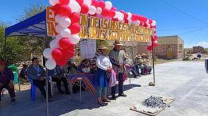 elección asambleísta indígena