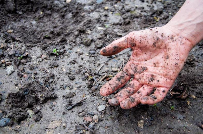 Imagen referencial sobre la muerte del supuesto ladrón